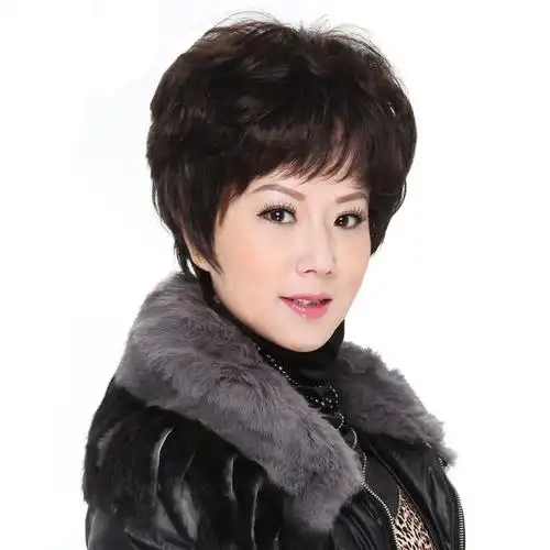 中老年假发女短发时尚高档女士中年真发短卷发整顶妈妈假发套包邮