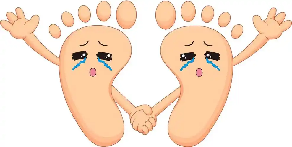 小腿丹毒属于哪种炎症