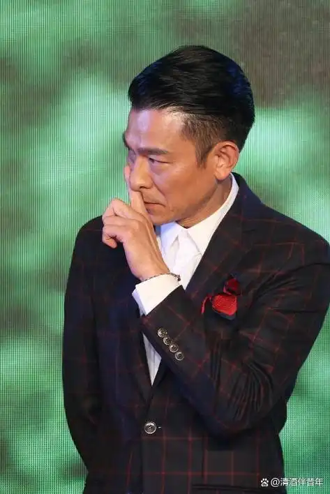 刘德华新片红毯先生遭央视点名批评犀利言辞直戳片方肺管子