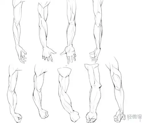 写生手臂—人体体块手臂肌肉的练习 举报