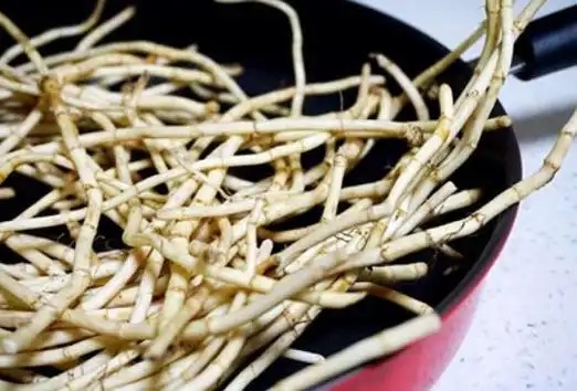 鱼腥草煮水能给小孩洗澡吗能洗澡还能消炎杀菌