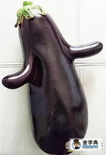 欢乐大茄子,咿呀伊尔 - 搞笑图片 - 查字典