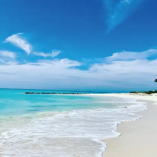 tripadvisor的旅行者alistair l说:「这是世界 上最好的沙滩之一,它有