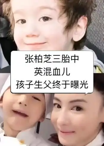 张柏芝三胎儿子生父终于曝光