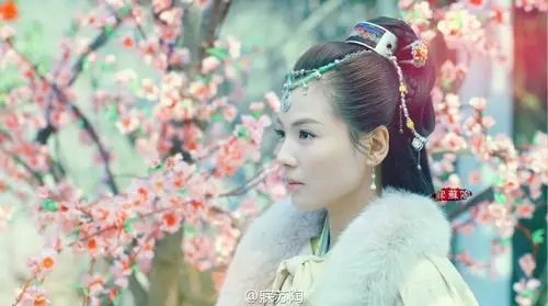 刘涛《琅琊榜》【霓凰郡主】神采精华,霁月光风;威名赫赫,女中英豪.