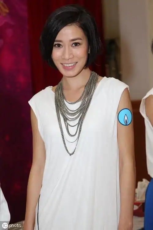 佘诗曼"贵妇造型"亮相,风韵迷人