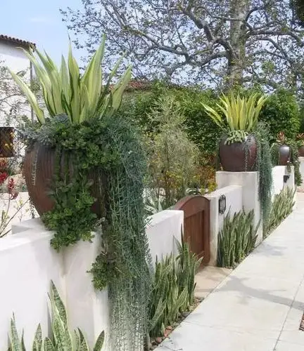 40个多肉庭院,太美了.