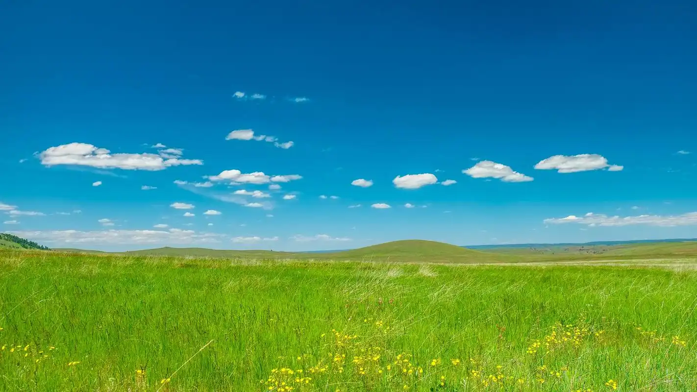 蓝天绿草地清新护眼高清桌面壁纸下载高清大图预览1920x1080_风景壁纸