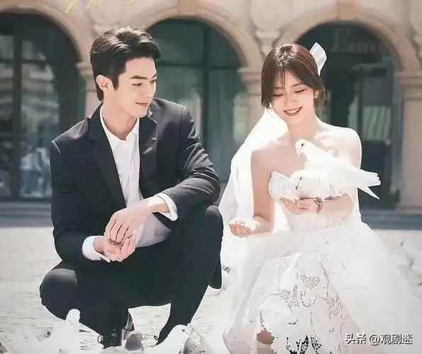 腾讯4部s级待播剧,张晚意占了两部,刘亦菲新剧率先来袭