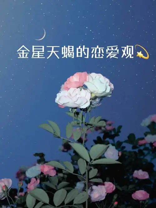 金星天蝎座的恋爱观