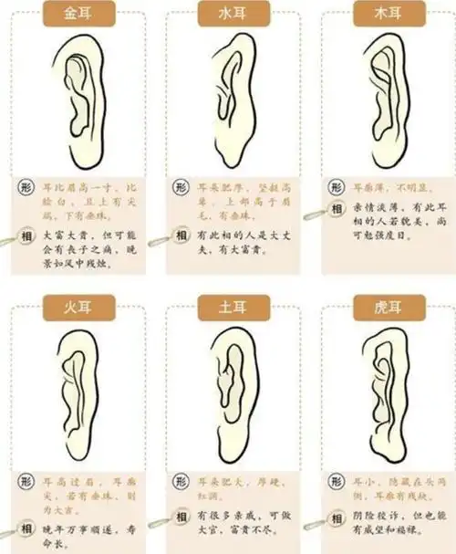 什么面相的女人旺夫?