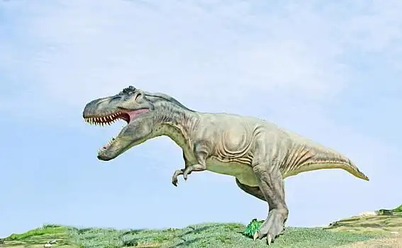 恐龙图片_恐龙图片大全_恐龙图片素材