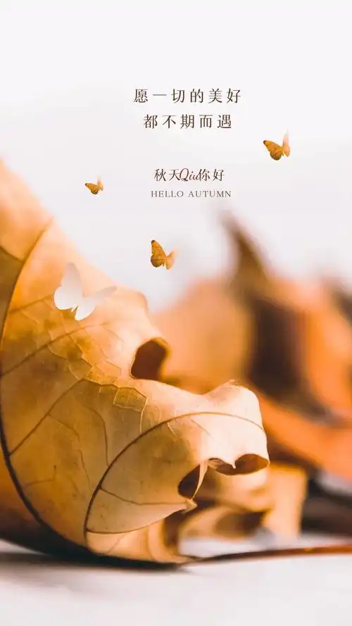 秋天你好图片配图唯美带字,秋天海报简单