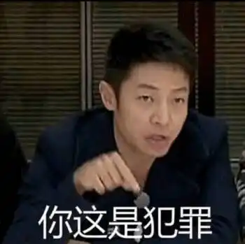 撒贝宁:你这是犯罪_贝宁_犯罪表情