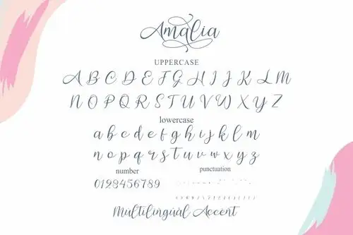 amalia浪漫花体书法英文字体