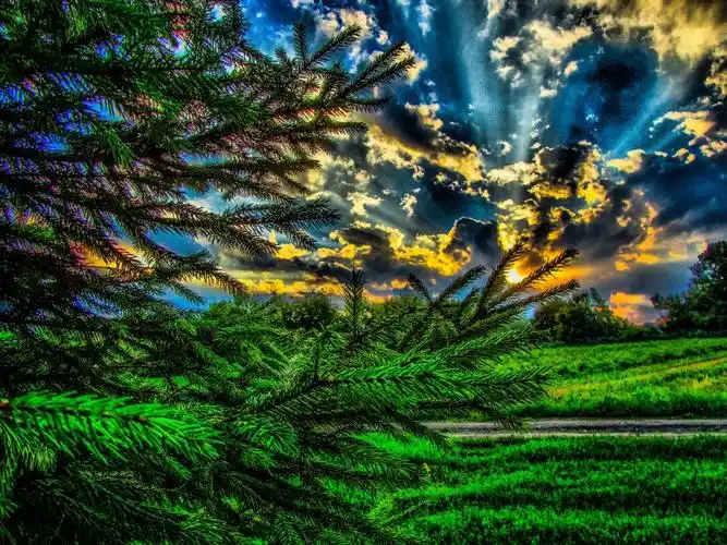 风景4k超高清壁纸和背景图像,高清图片,壁纸 - 天下桌面