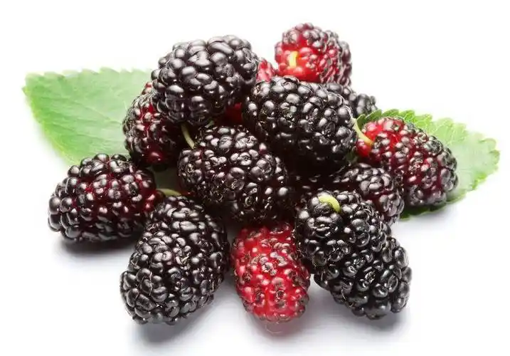 4大壮阳水果(飞机打多了属于阴虚还是阳虚)