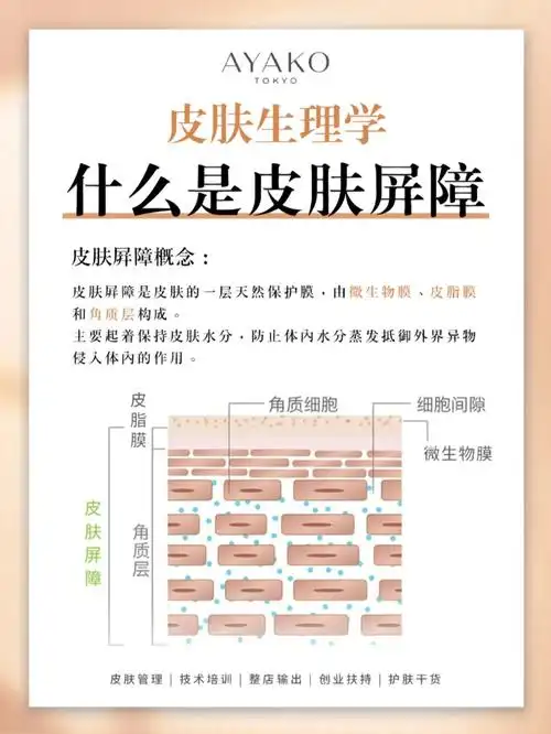 皮肤管理师必知如何修复皮肤屏障71