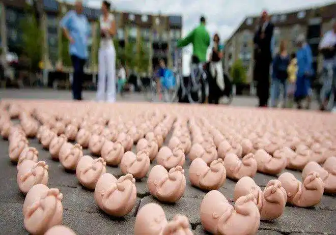 妈妈我疼救救我被打掉的胎儿会感觉到痛吗看完泪目了