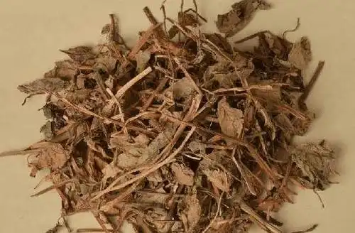 鱼腥草 古草世家:儿童扁桃体治疗偏方土方法! 扁桃体相关问题