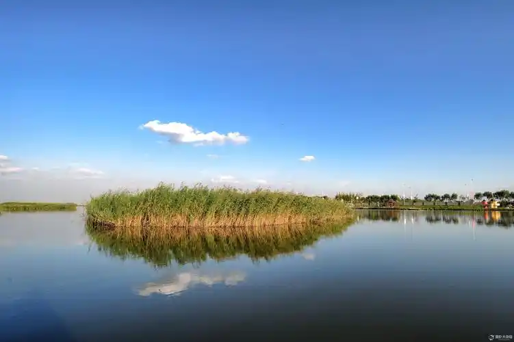 【古老湿地】【七里海】【地球上不多见的地理板块】