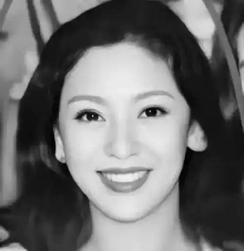 "东北女人"陈岚纵横史_梅艳芳_香港_向华强