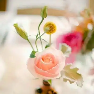 唯美风景头像图片大全高清