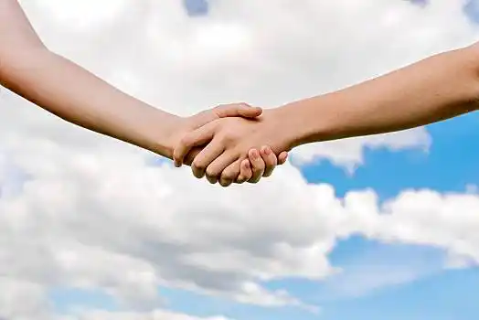 两个男人,握手,男人