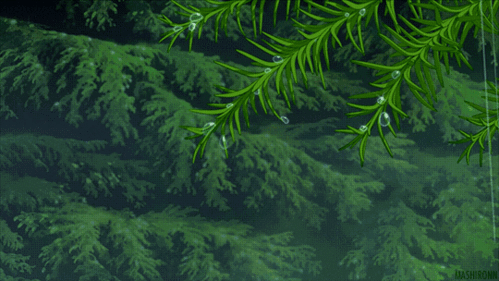 540_304gif 动态图 动图