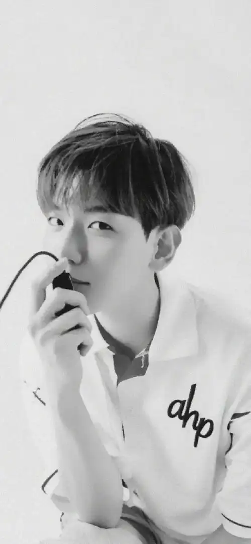 边伯贤爱你如一