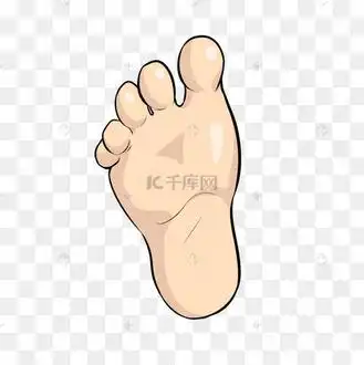 卡通脚剪贴画脚底