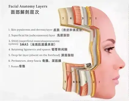 要想处理老化,较先第一步是要掌握皮肤老化有哪些.