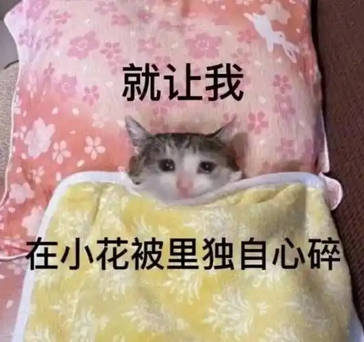 你是不是要攻击我了丨第925期喵表情包_侵权_网络_图片