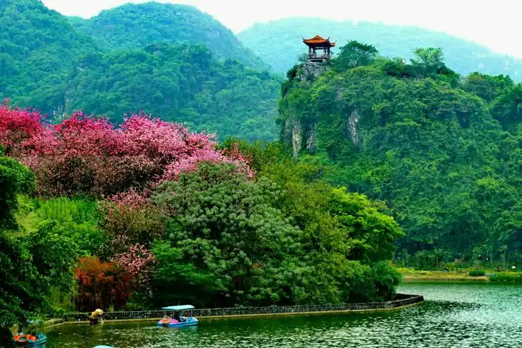 满城春色等我来 - 美篇