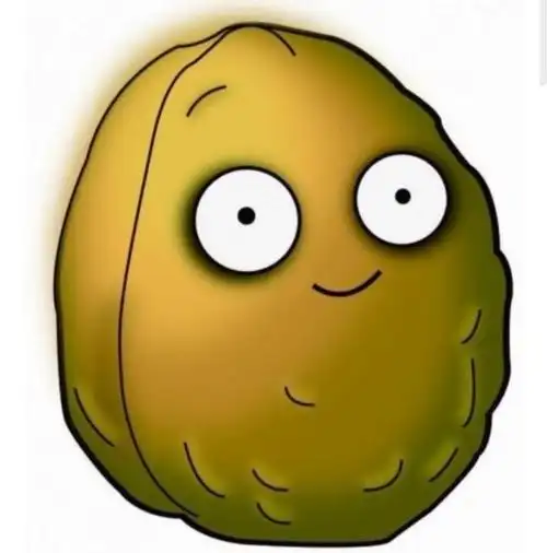 植物大战僵尸2:有的能爆炸有的血很厚,坚果植物有大作用