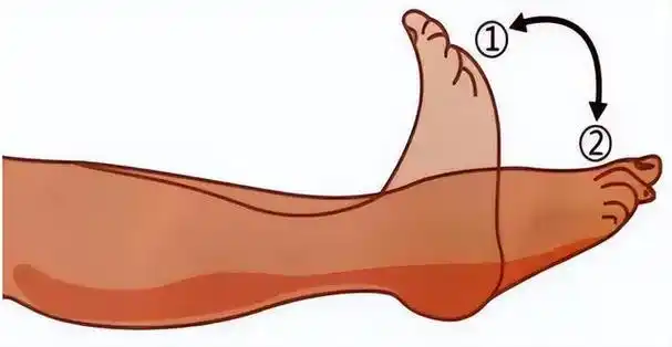 这个动作很重要,勾脚尖转脚腕