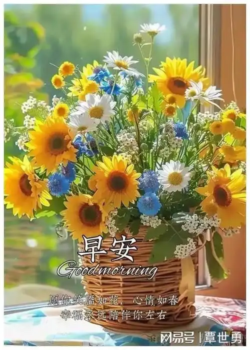 快乐|清晨|早安|喜乐_网易订阅