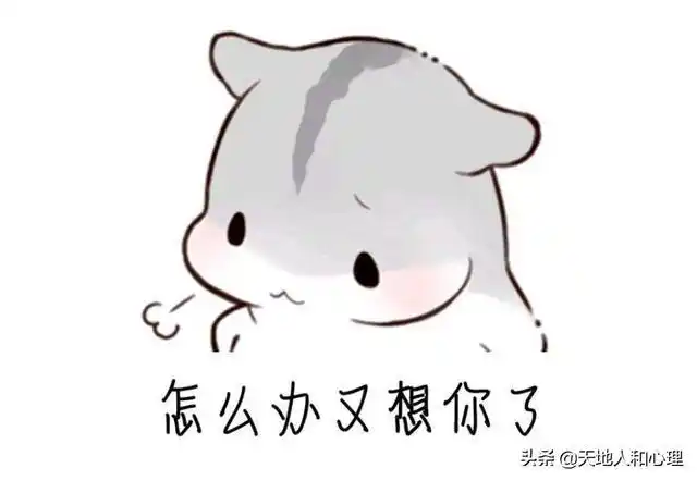 表情包,段子则不一样,用这些东西做开场白,直接就可以展现你的幽默