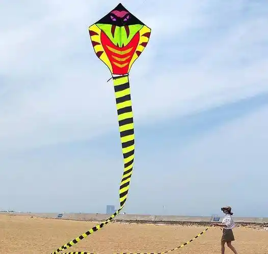 这些奇葩风筝,你见过吗?开眼啦_天空_太太_造型