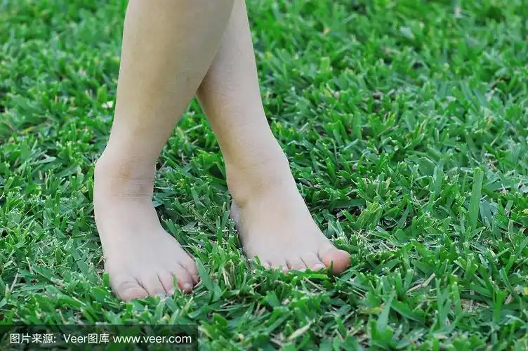 弯弯曲曲的小的脚.