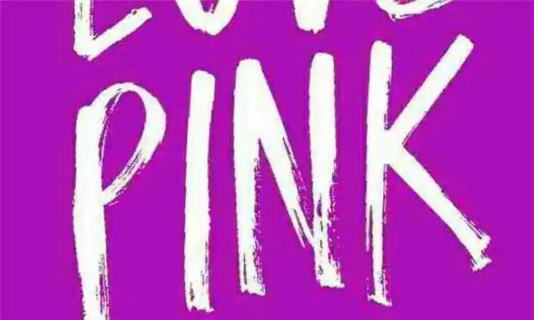 pink是什么意思啊优质