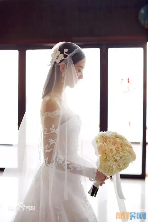 刘诗诗,中国内地明星,明星刘诗诗和吴奇隆婚纱照