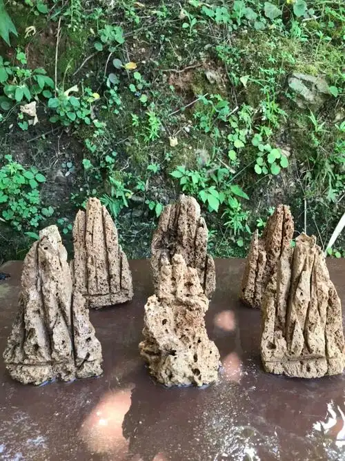 吸水石小假山盆景图片(吸水石假山盆景图片大全汉)