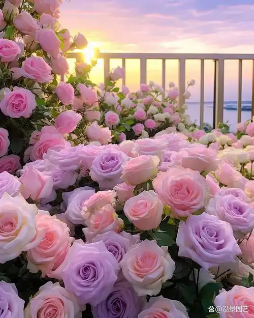 漂亮花园与您欣赏