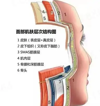 抗衰要分年龄,分层次,分阶段,赶紧学!