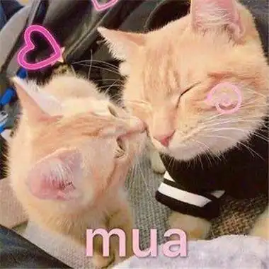 全新超级甜的mua表情包 很热门的亲亲聊天表情_8