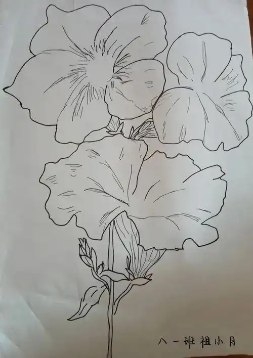 广元利州莲花初中居家绘画作品展美画聚云端美育亦精彩