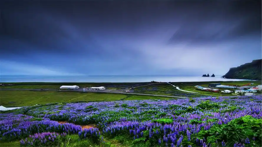 好看的桌面壁纸电脑桌面壁纸软件