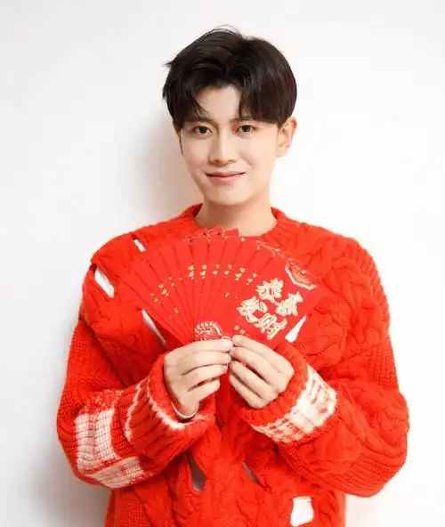 当红男星任嘉伦写真合集阳光帅气绅士风度