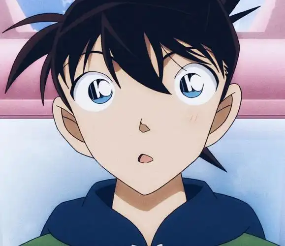 新一和小兰的情头